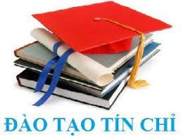 Quy định đào tạo trình độ Trung cấp theo phương thức tích lũy mô đun - tín chỉ của Trường Cao đẳng Luật Miền Bắc